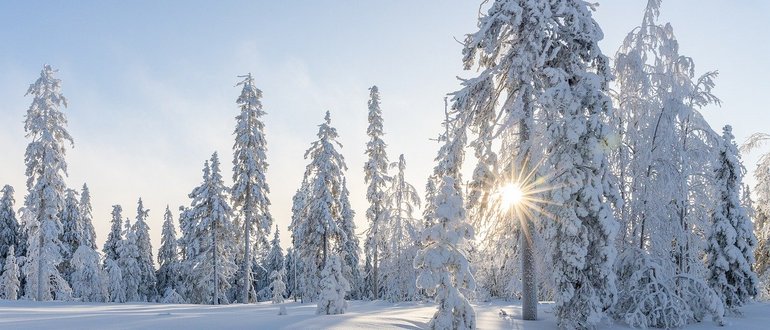 День зимнего Солнцестояния самый важный день года